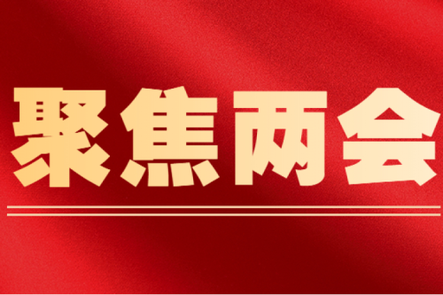 全國(guó)人大代表李寅建議（三）丨盡快解決可再生能源電價(jià)附加補(bǔ)貼拖欠問題的建議
